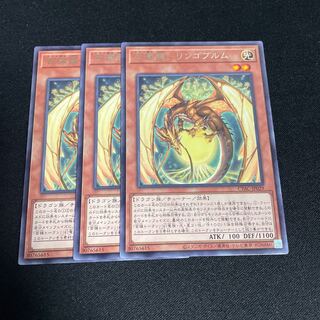 No.809 Hundred Apple Dragon - Ringo Blum Rare JP029