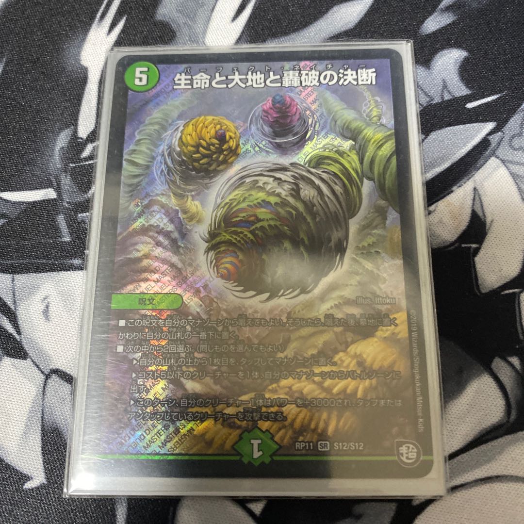 Life Life, Earth and Roaring Decision SR S12/S12