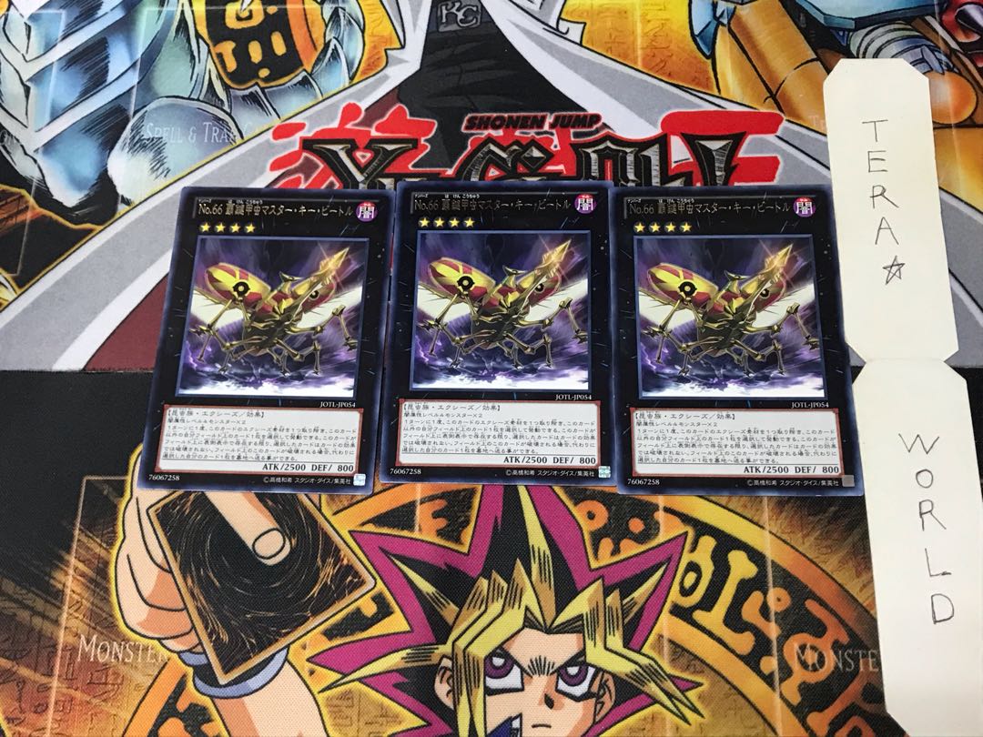 Number 66: Master Key Beetle JOTL 4 rare, set of 3 tera