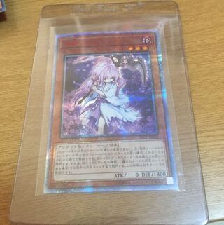 浮幽さくら 20thシク 1枚