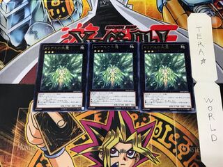 メリアスの木霊 SHSP 2 レア 3枚セット てら