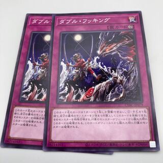 ダブル・フッキング ノーマル JP079 2枚