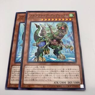 Full Active Duplex Normal JP025 2 copies