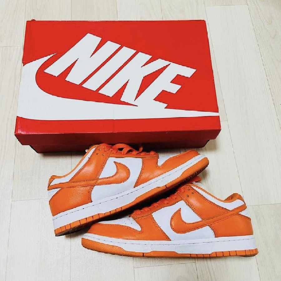 Dunk Syracuse 27cm 27cm