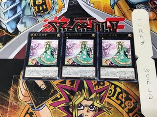 Sylvan Princessprite DOCS 4 Rare Set of 3 Tera.