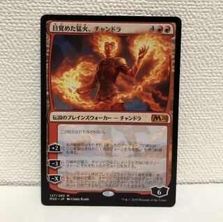 目覚めた猛火、チャンドラ