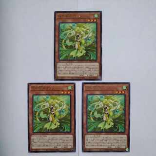 Pearl Miko Furi Rare JP019 Set of 3