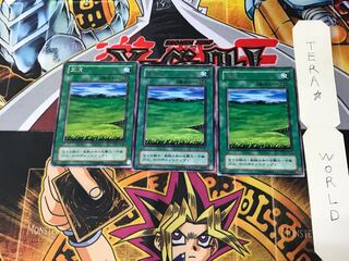 Grasslands LB 2nd period ver 4 rare set of 3 tera