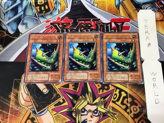 Larvae Moth RB 2nd period ver 3 rare set of 3 terra