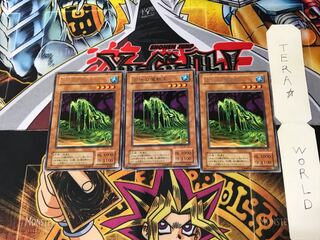 沼地の魔獣王 BC 2期ver 3 レア 3枚セット てら