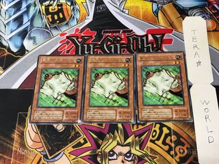 Nimble Momonga PS 2nd period ver 2 rare set of 3 tera