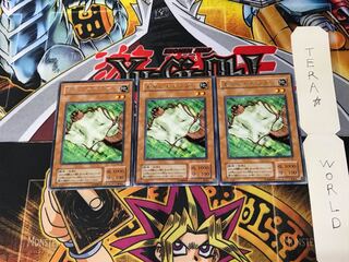 Nimble Momonga PS 2nd period ver 5 rare set of 3 tera