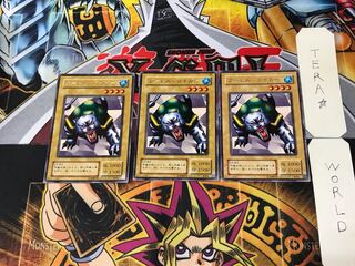 タートル・タイガー」の激安通販 | magi