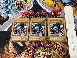 Turtle Tiger B1 2nd period ver 2 rare set of 3 tera