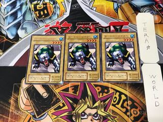 タートル・タイガー」の激安通販 | magi