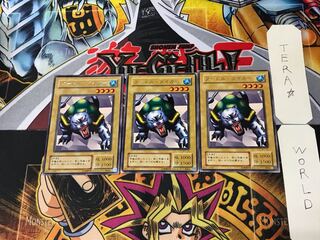 Turtle Tiger B1 2nd period ver 4 rare set of 3 tera