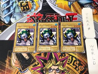 Turtle Tiger B1 2nd period ver 5 rare set of 3 tera