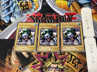 Turtle Tiger LB 2nd period ver 3 rare set of 3 tera