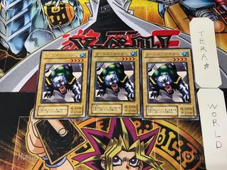 Turtle Tiger LB 2nd period ver 4 rare set of 3 tera