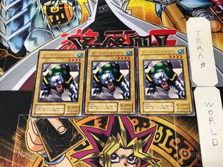 Turtle Tiger LB 2nd period ver 5 rare set of 3 tera