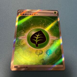 Basic GrassEnergy SR 251/172