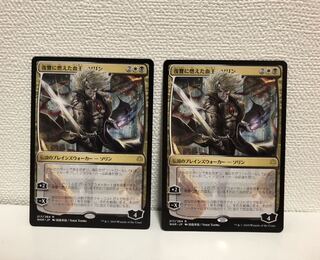 復讐に燃えた血王、ソリン　2枚セット