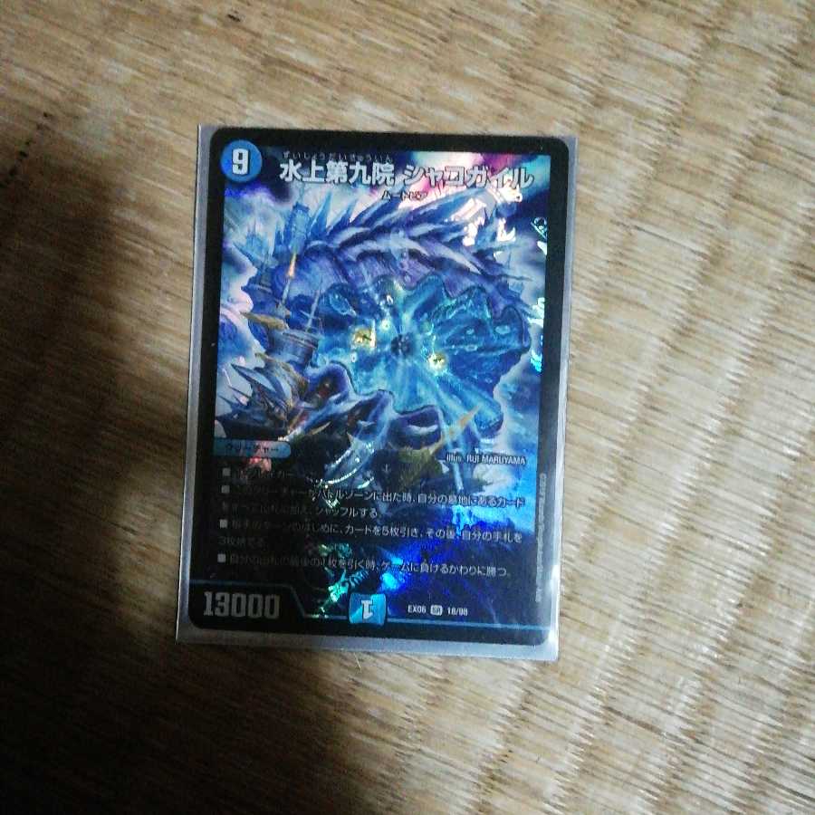 水上第九院 シャコガイル