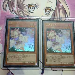 灰流うらら　2枚　はるうらら　ウルトラ