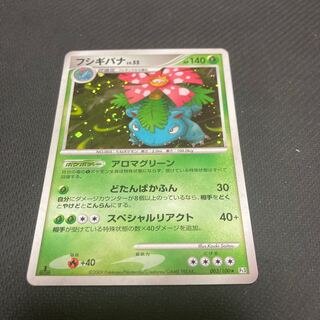 Venusaur LV.55