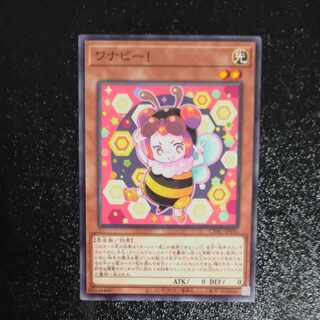 WANABY! Normal rare JP031 [Korindo].