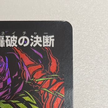 Life Life, Earth and Roaring Decision SE S12(Secret)/S12