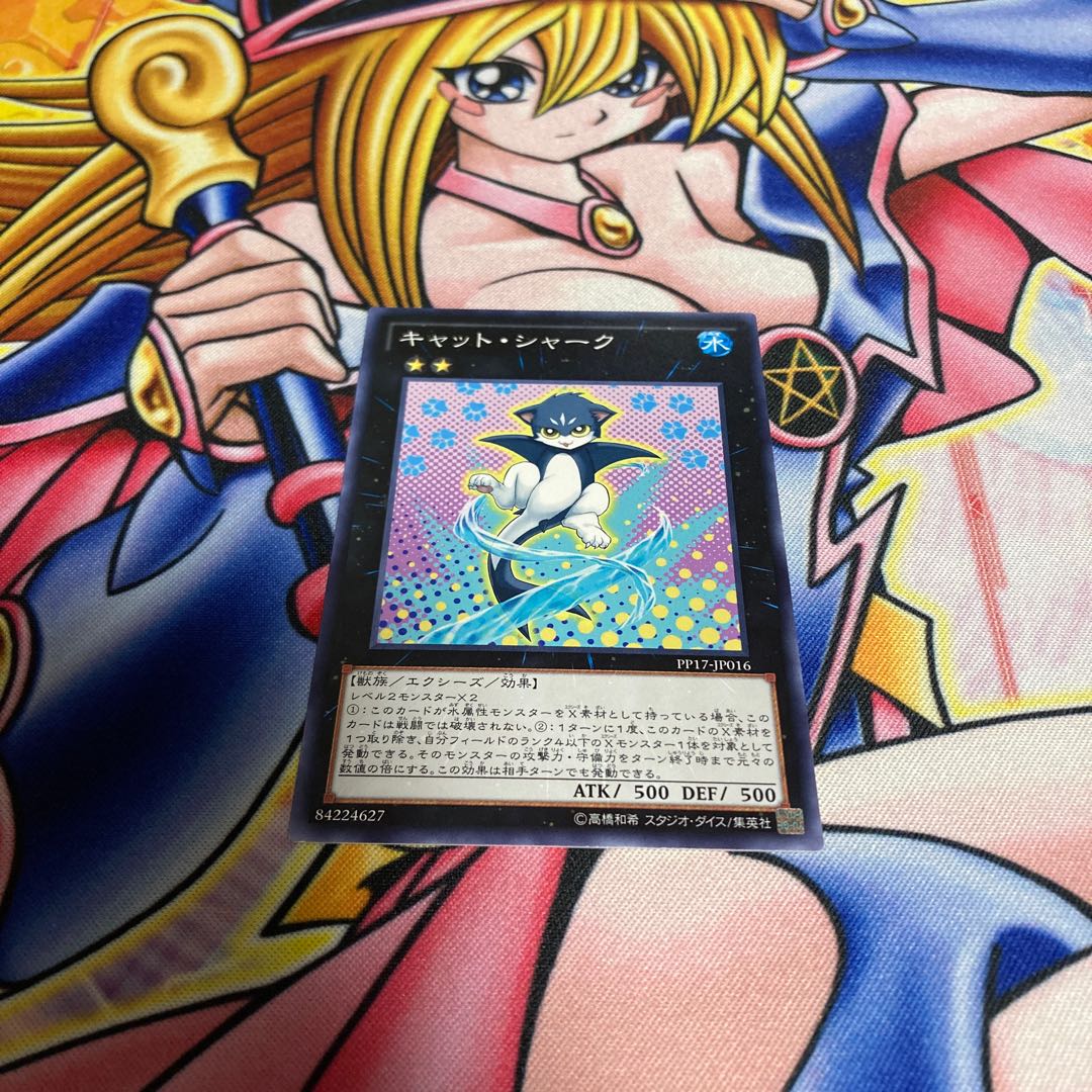 Cat Shark Normal JP016