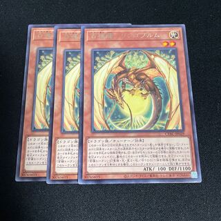 No.831 Hundred Apple Dragon - Ringo Blum Rare JP029