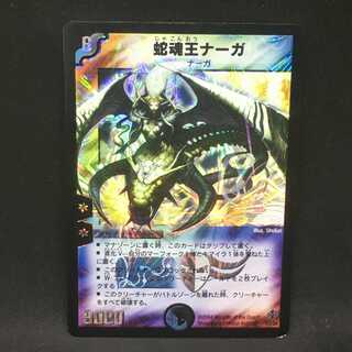 蛇魂王ナーガ@000628