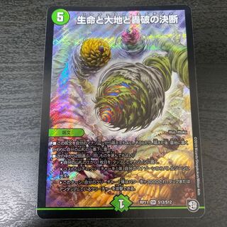 Life Life, Earth and Roaring Decision SR S12/S12