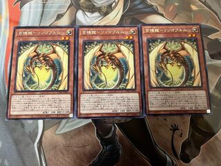 Hundred Apple Dragon - Ringo Blum Rare JP029