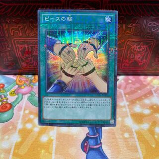 No.678 P屋　ピースの輪 【スー】