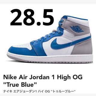 Nike Air Jordan 1 High OG "True Snubbull" True Snubbull/Ho Wight/Cement Grey DZ5485-410 28.5cm