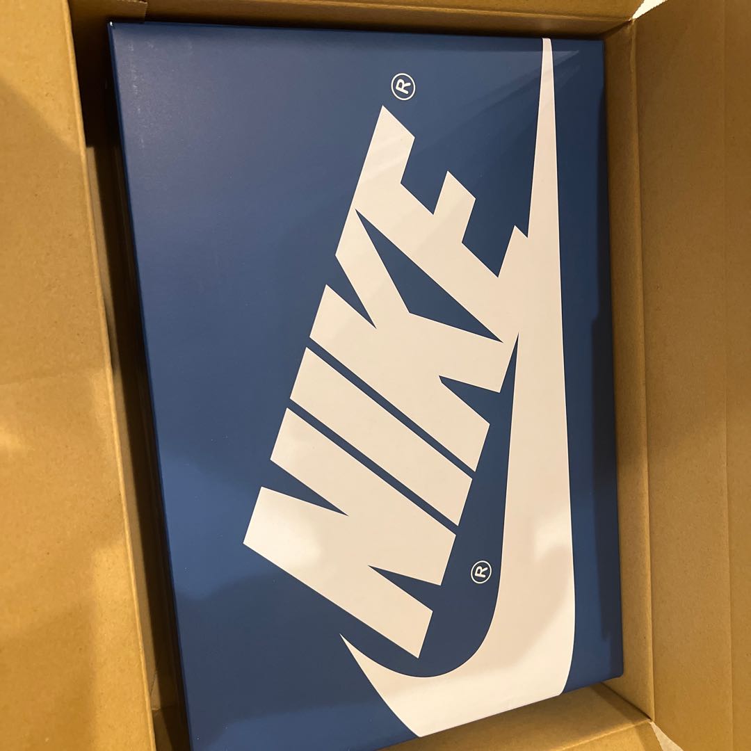 Nike Air Jordan 1 High OG "True Snubbull" True Snubbull/Ho Wight/Cement Grey DZ5485-410 28.5cm