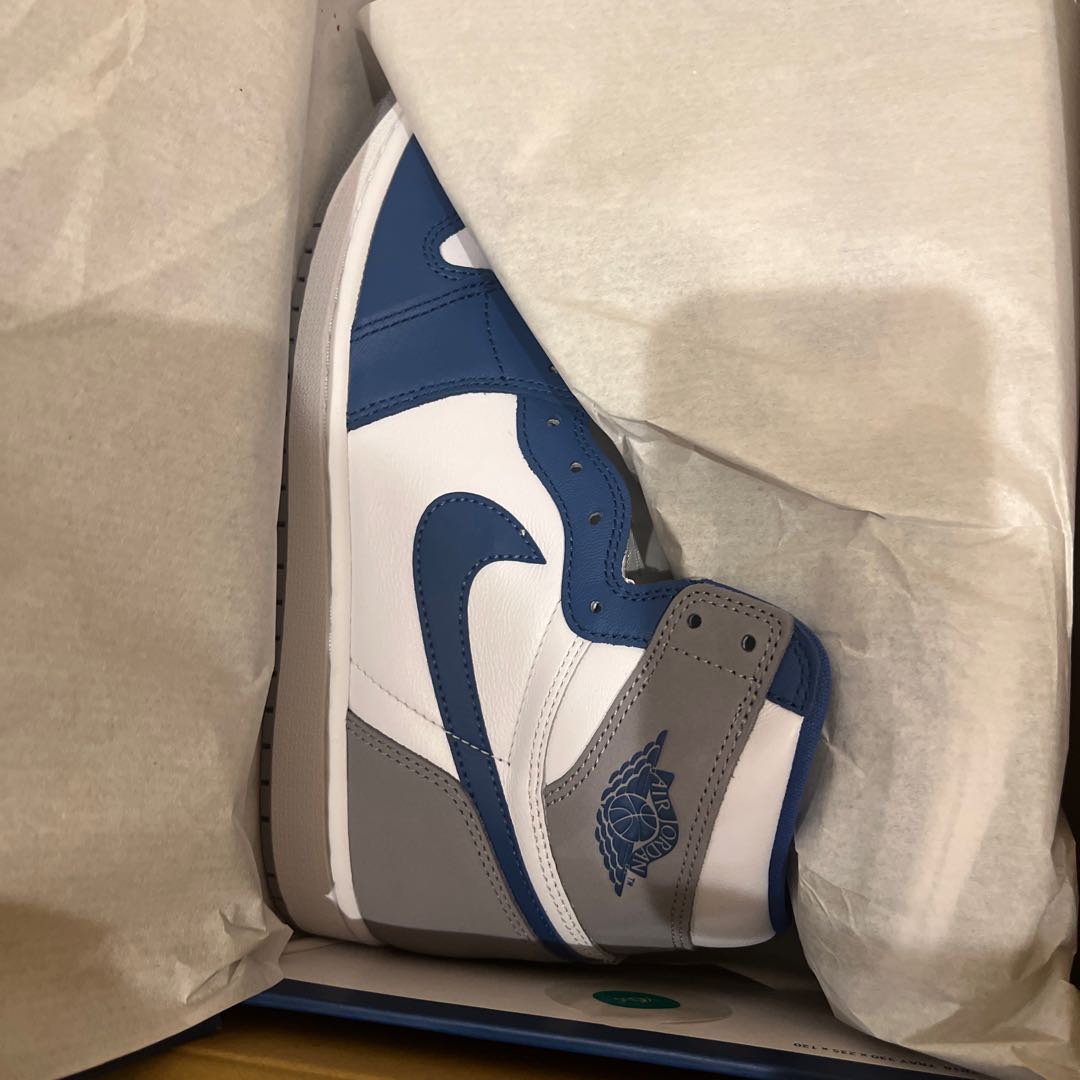 Nike Air Jordan 1 High OG "True Snubbull" True Snubbull/Ho Wight/Cement Grey DZ5485-410 28.5cm