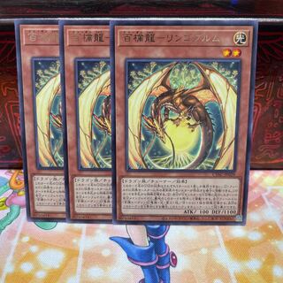 No.789 P shop, Hundred Apple Dragon - Ringo Blum [Rare].