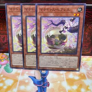 No.734 P shop Manadum Heares [no