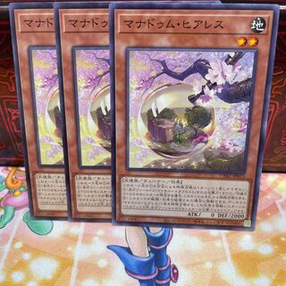 No.733 P shop Manadum Heares [no