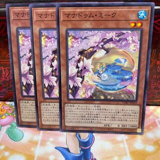 No.1639 P shop Manadum Meek [no