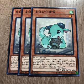 星杯の守護竜　３枚