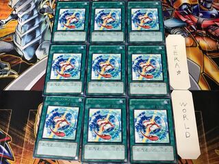 Xyz Gift PHSW 1 rare set of 9 cards Tera