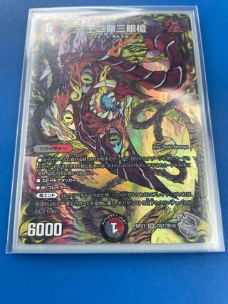 一王二命三眼槍(20th銀トレジャー) SR TR7/TR10