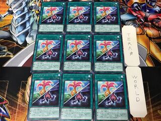 Synchro Dilemma DP25 2 rare, set of 9, Tera.