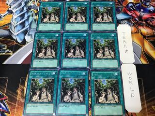 Snake Rain TAEV 1 rare, set of 9 tera