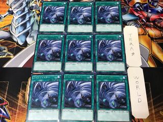 Twin Twisters BOSH 2 rare, set of 9 Tera.